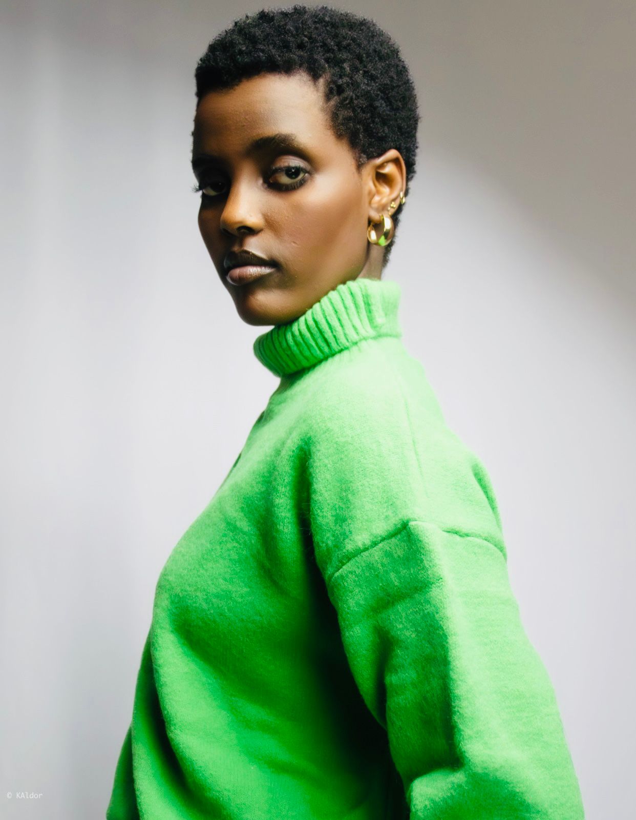 Winter Muse Turtleneck